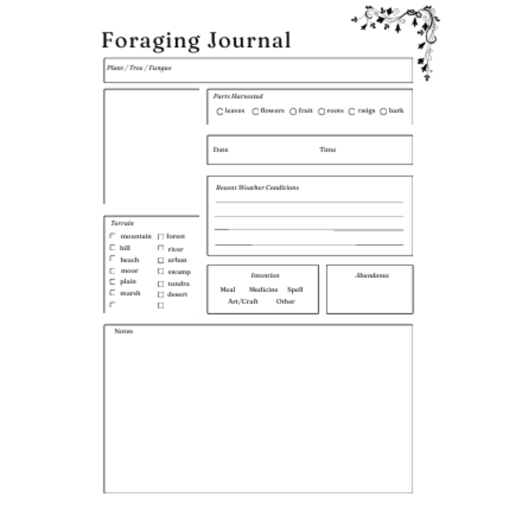 Herbs and Essential Oils Planner Bundle