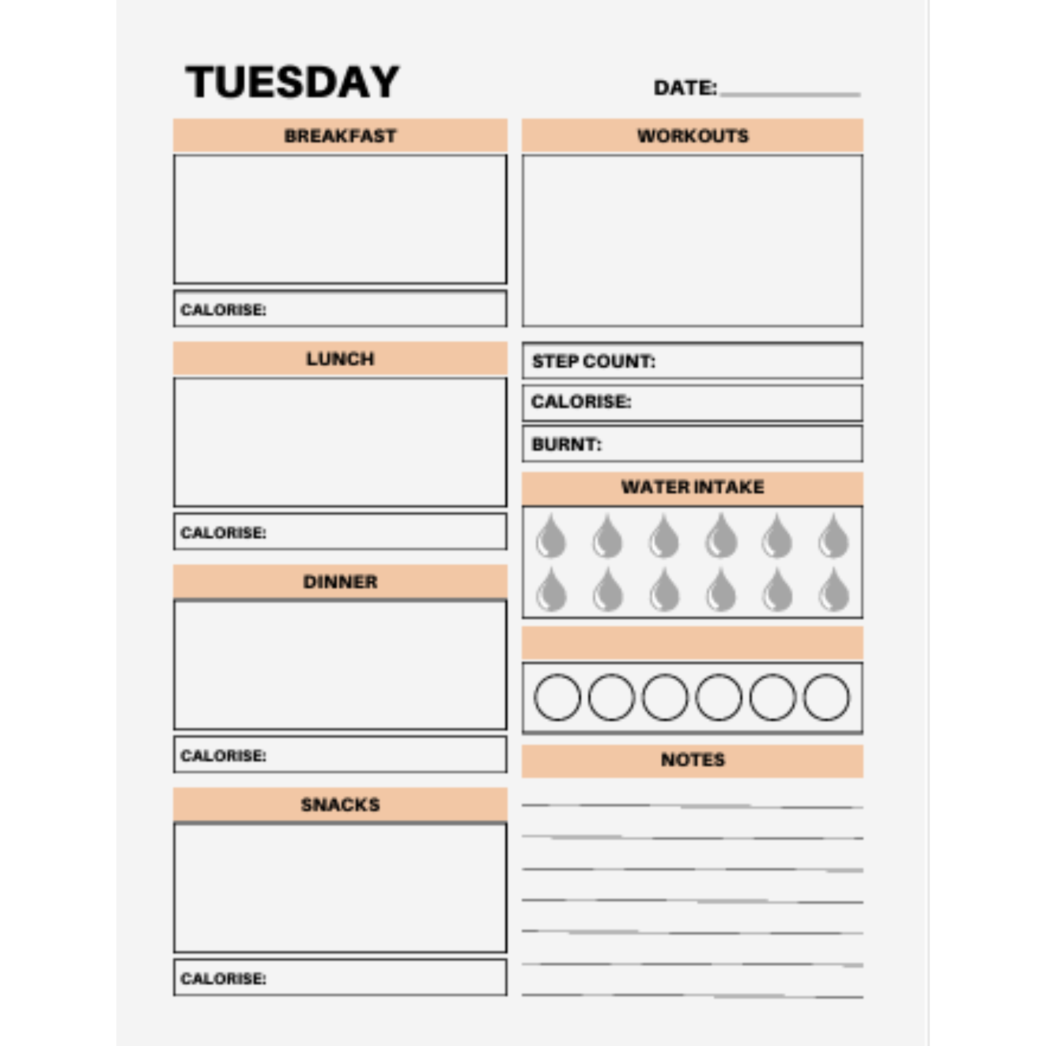 7 Day Food Diary Bundle