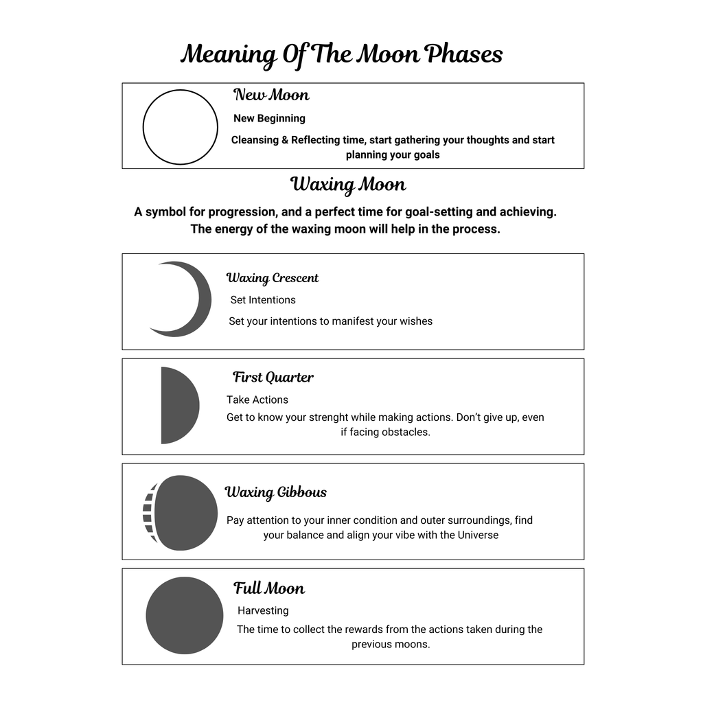 Moon & Astrology Planner Bundle