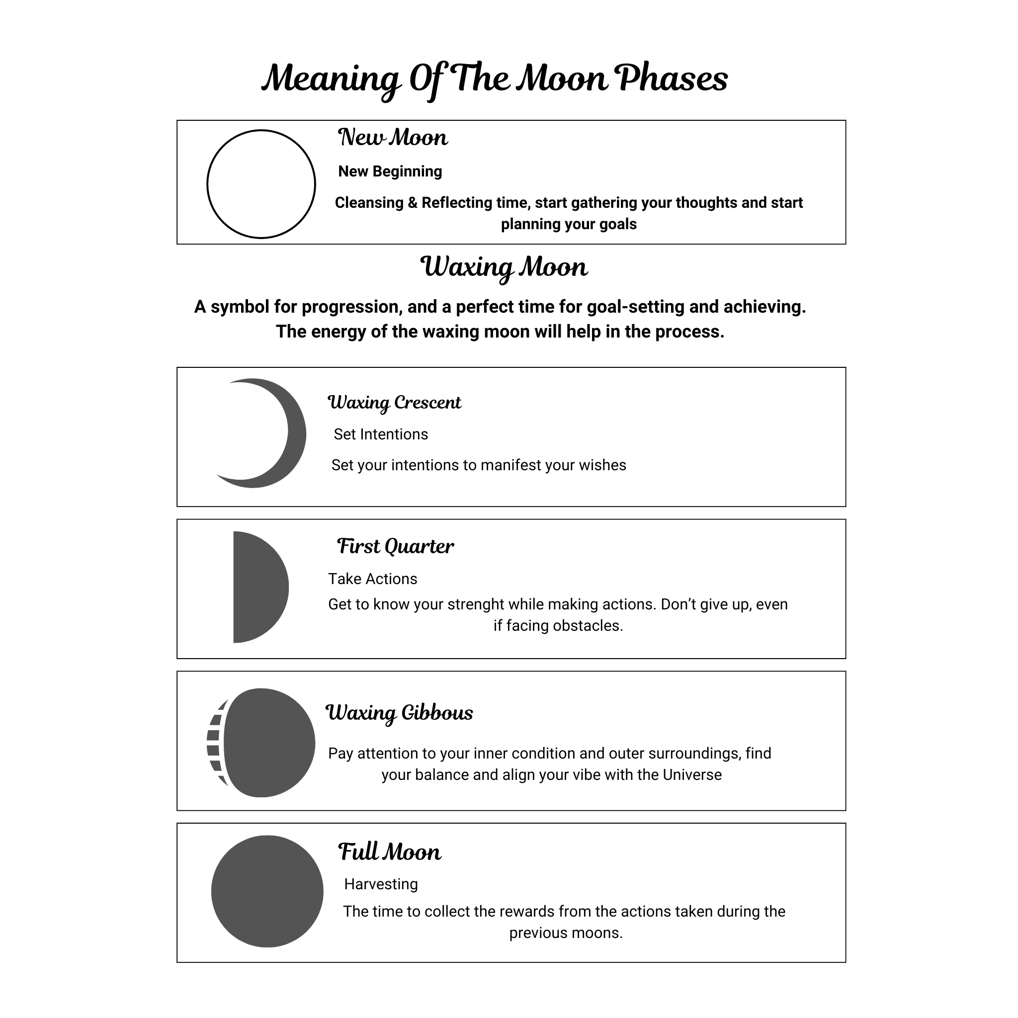 Moon & Astrology Planner Bundle