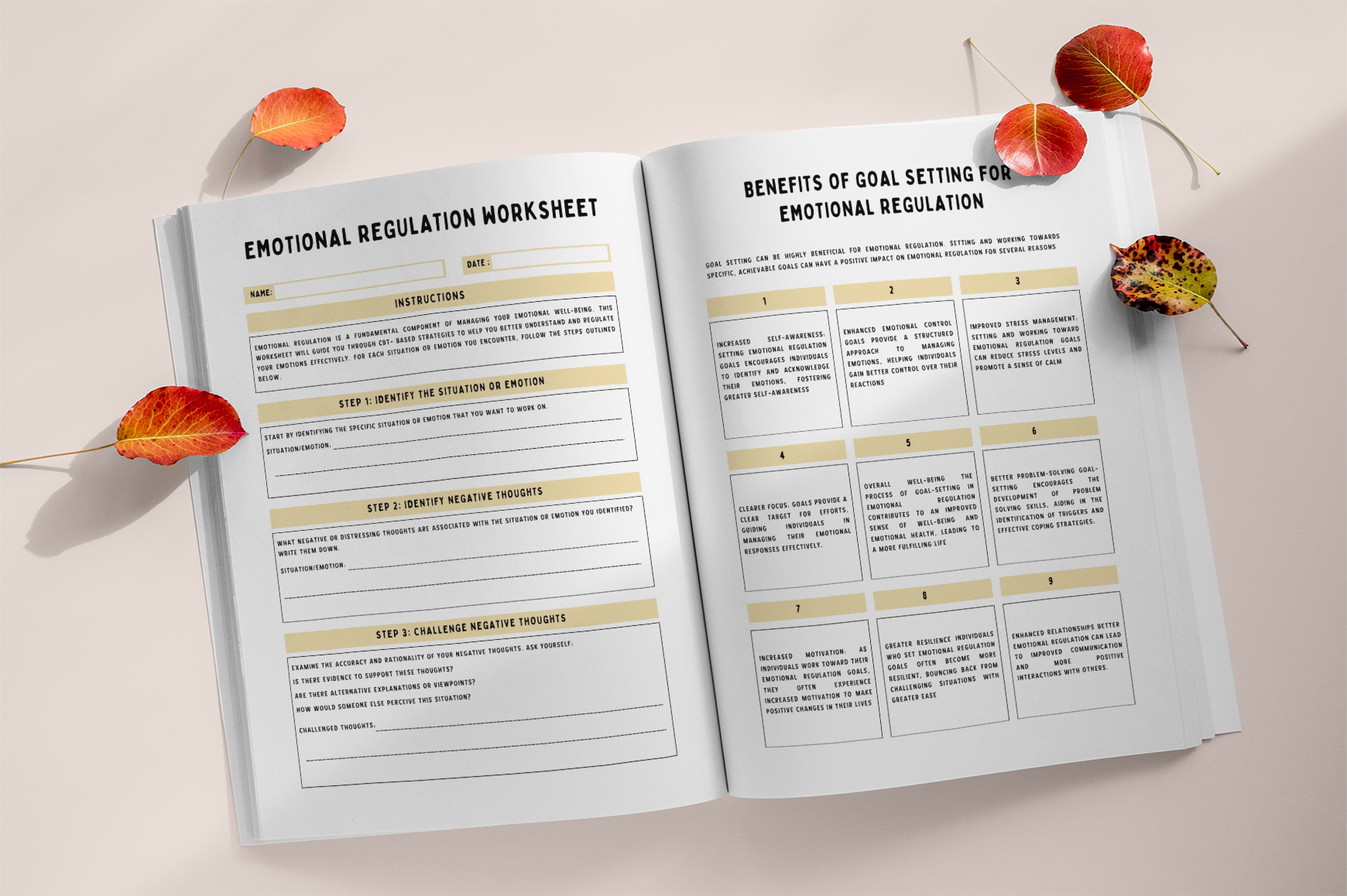 Daily Emotional Balance & Self-Control Journal
