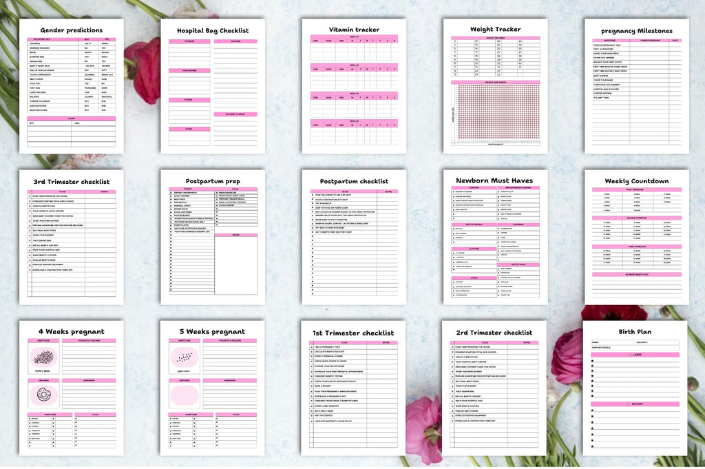 Pregnancy Journal for Expecting Mothers