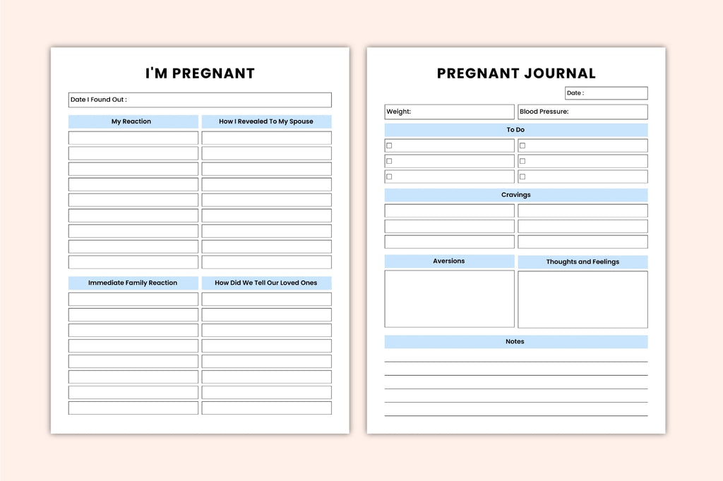 Baby Bump Journal