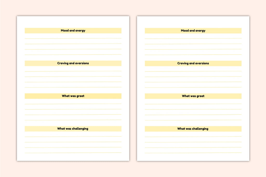 Precious Baby Memories Planner