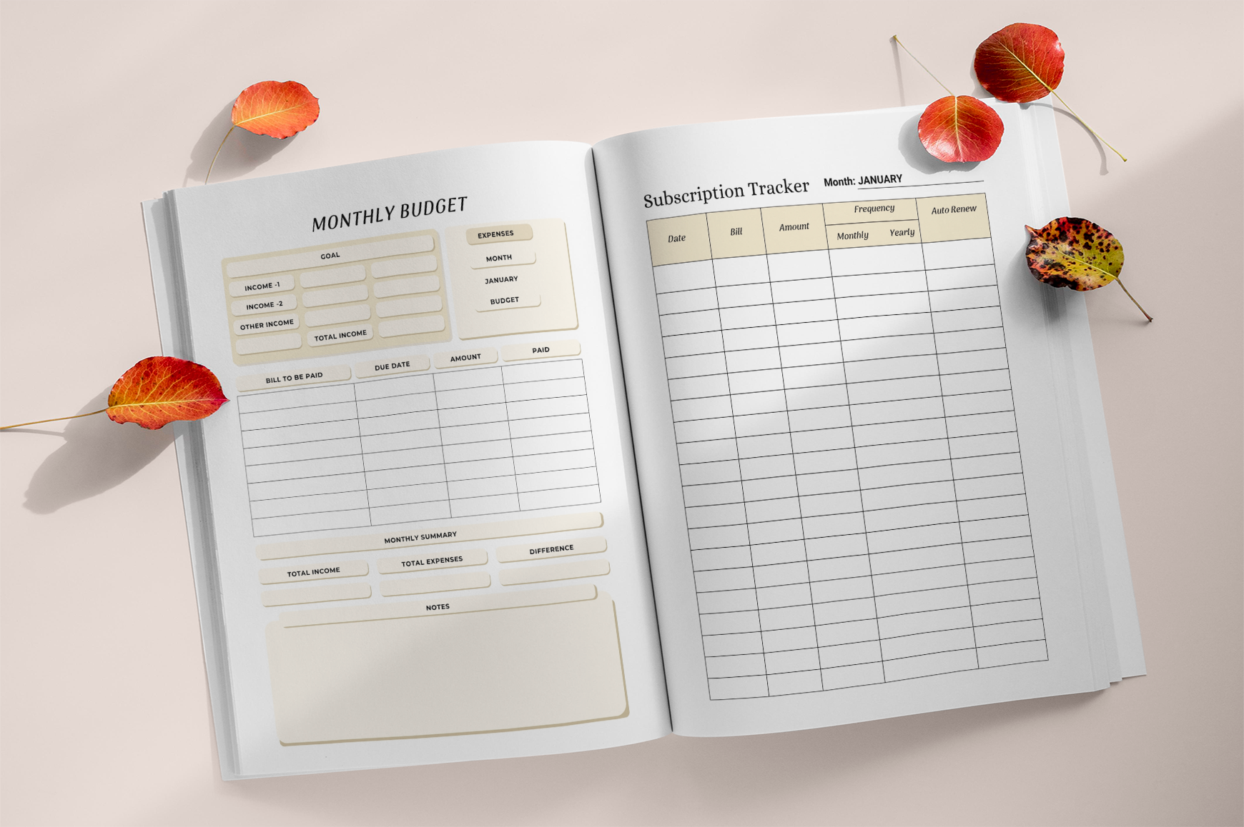 Financial Freedom Budget Planner