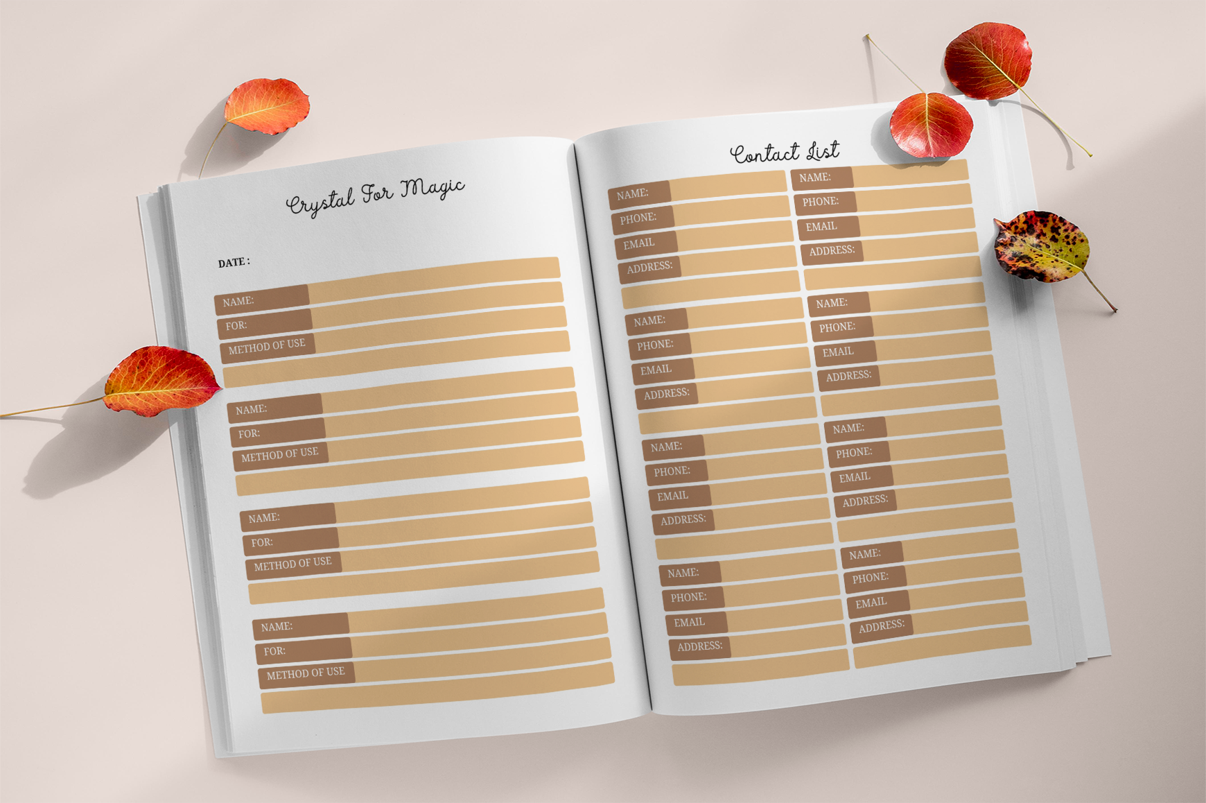 Mystic Witchy Goal Intentions Planner