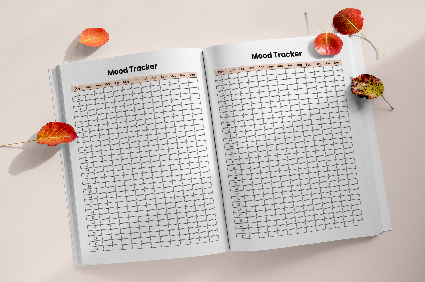Mood Monitoring Daily Journal