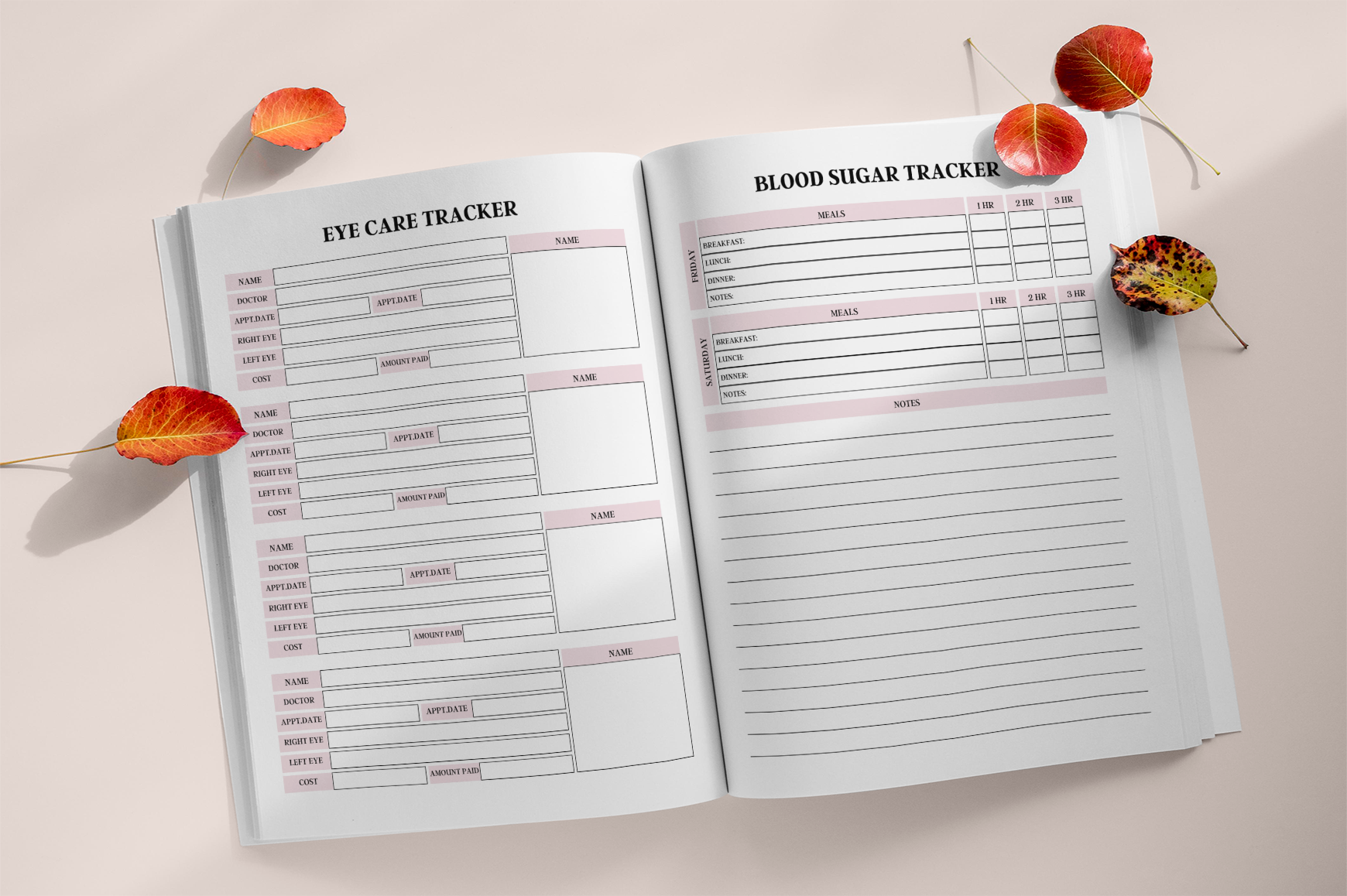 Medical Records Wellness Planner