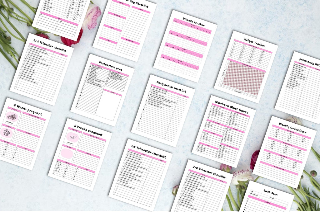 Pregnancy Journal for Expecting Mothers