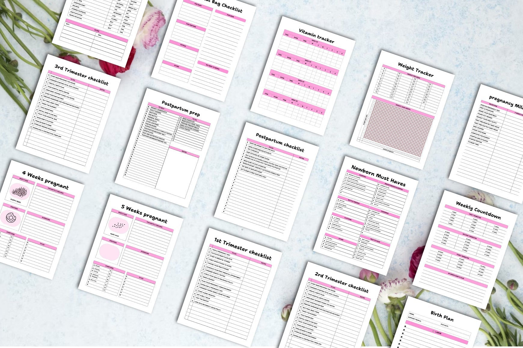 Pregnancy Journal for Expecting Mothers