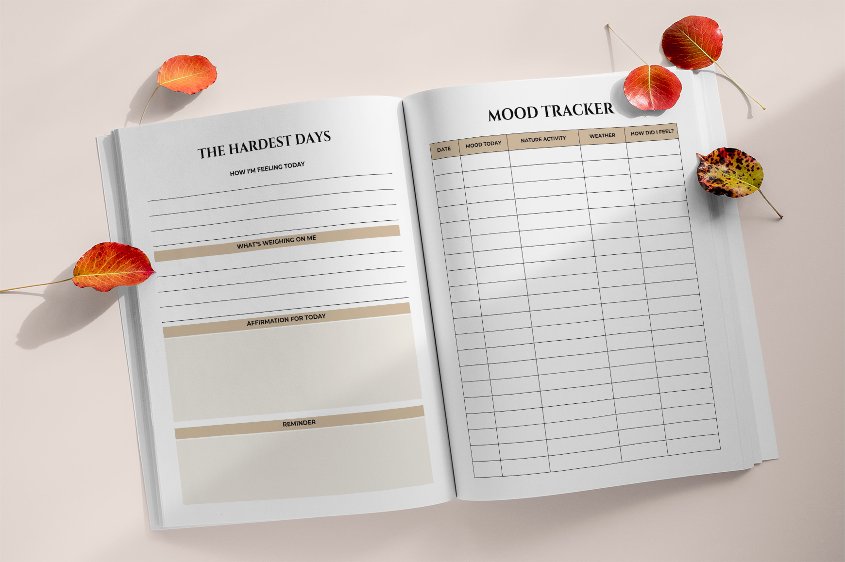 Loss Growth Reflection Workbook