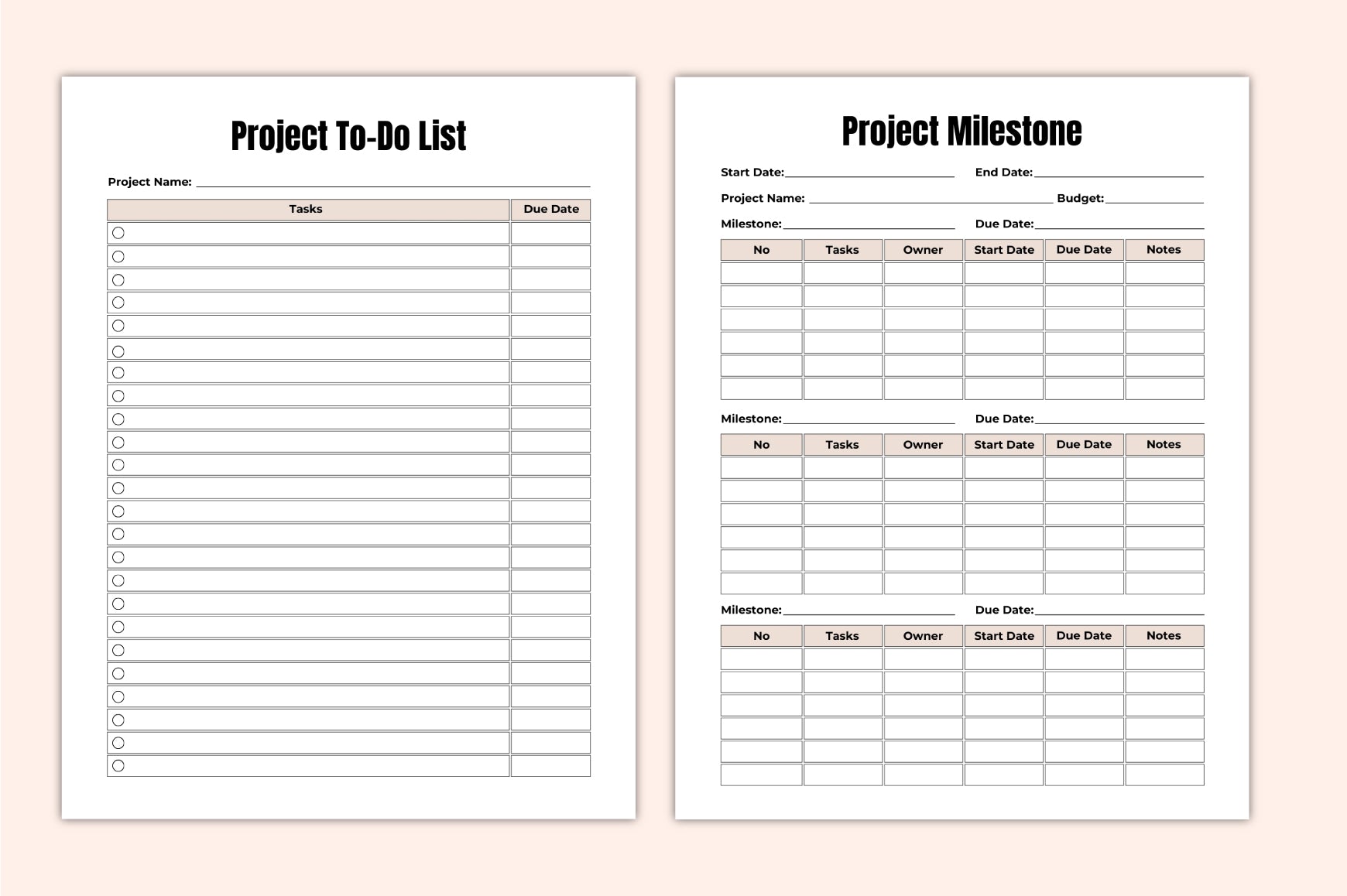 Project Success Planner