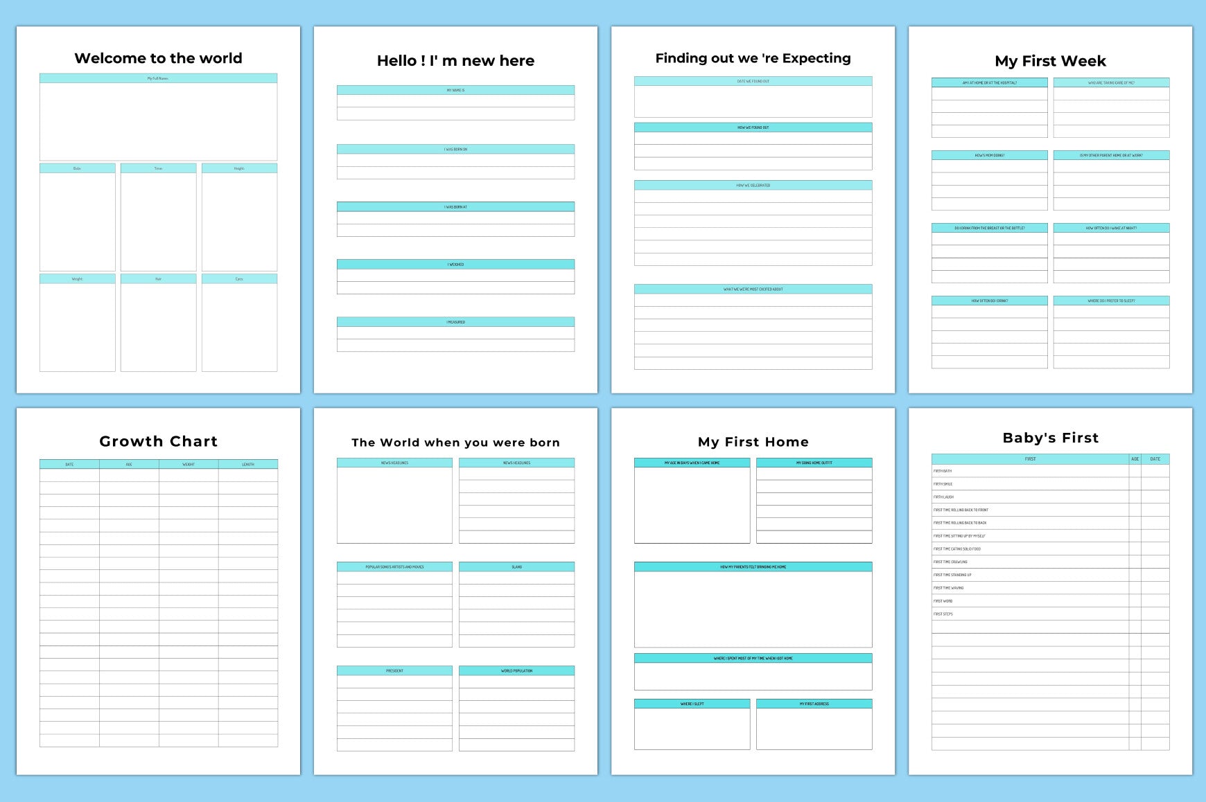 Newborn Planner