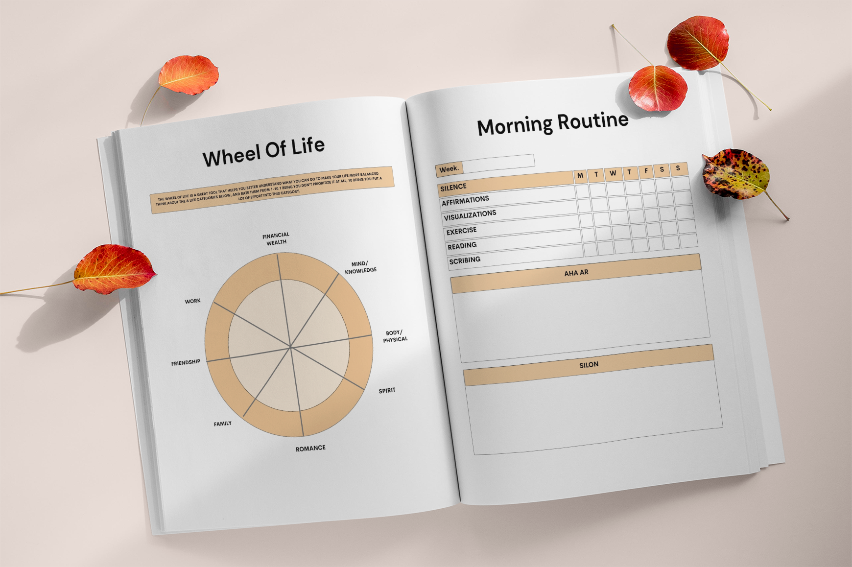 Daily Manifesting Success Journal