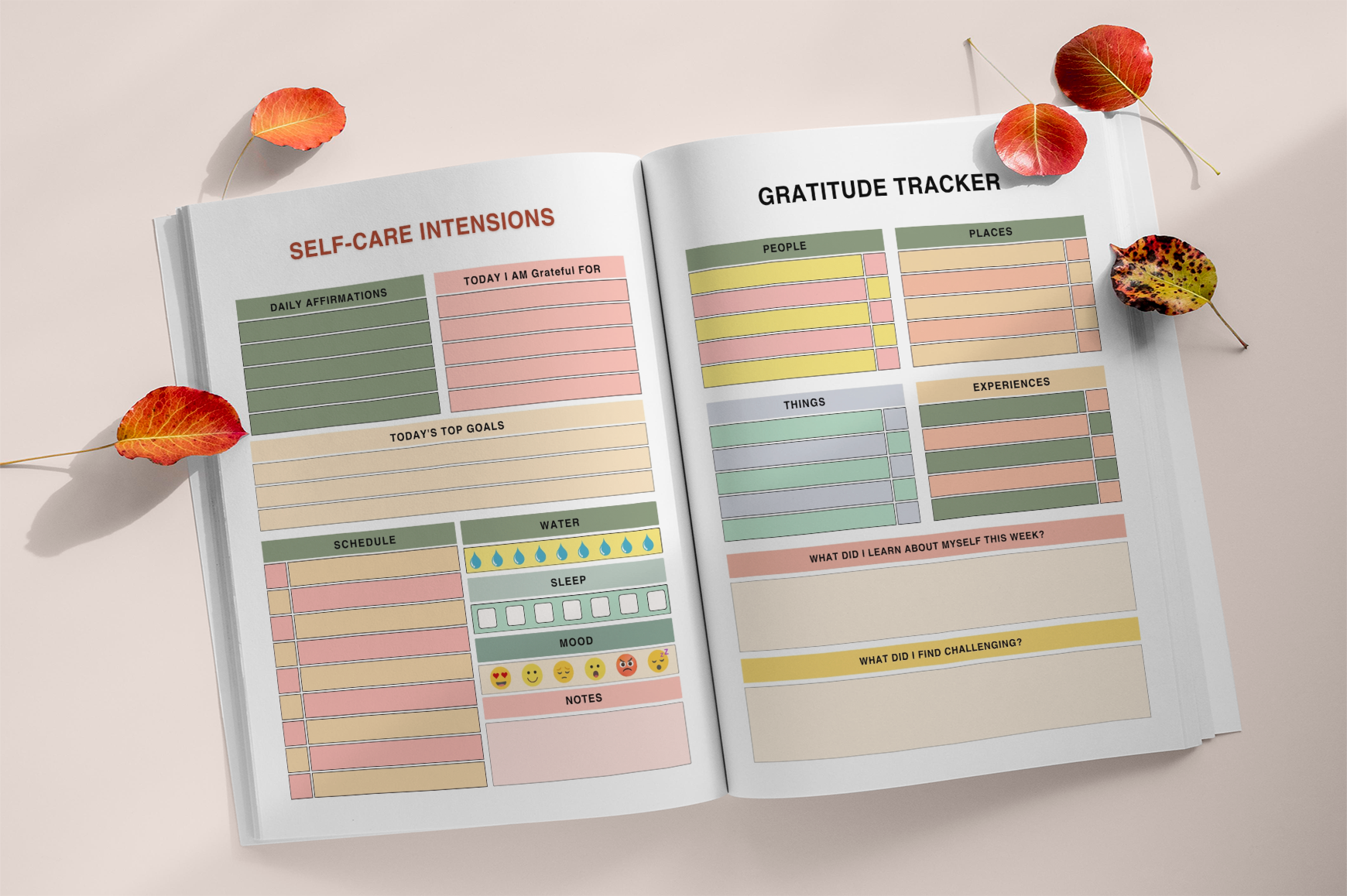 Self Love Emotional Healing Journal