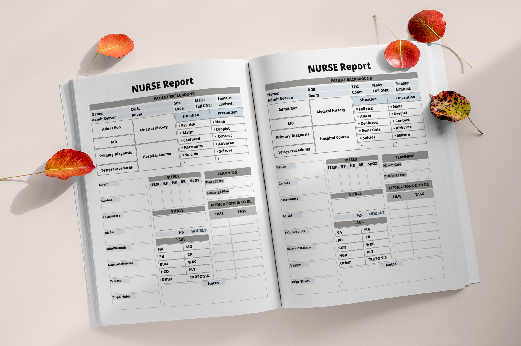 Nursing Notes Patient Report Workbook