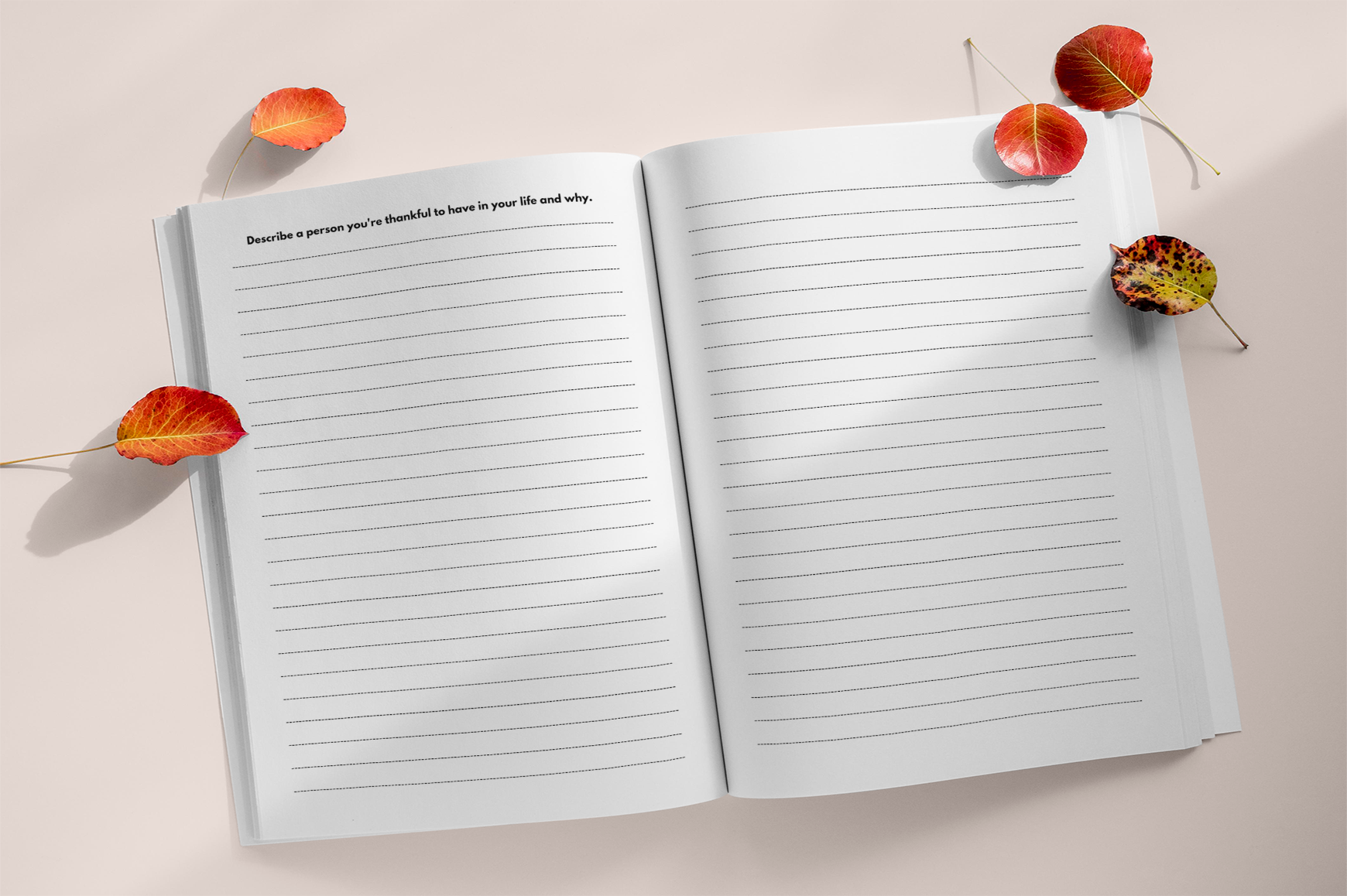 Days of Gratitude Writing Prompts