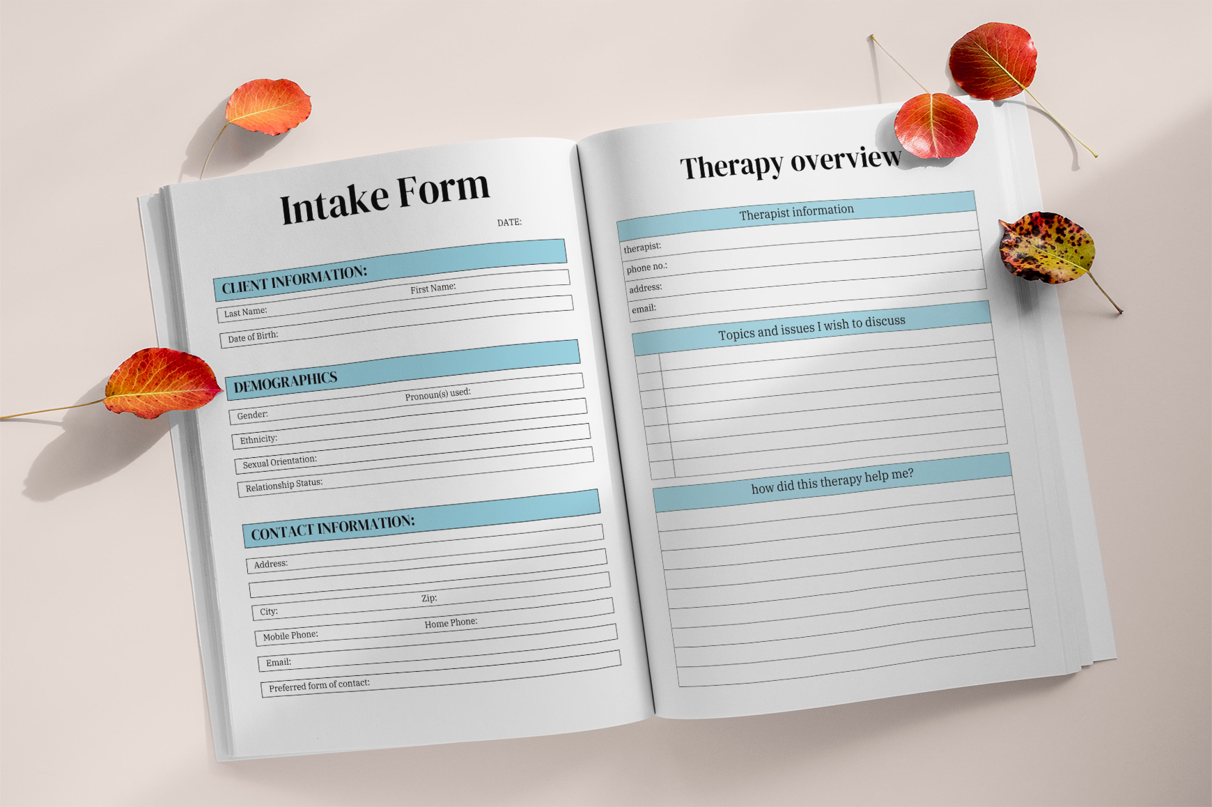 Therapy Practice Journal
