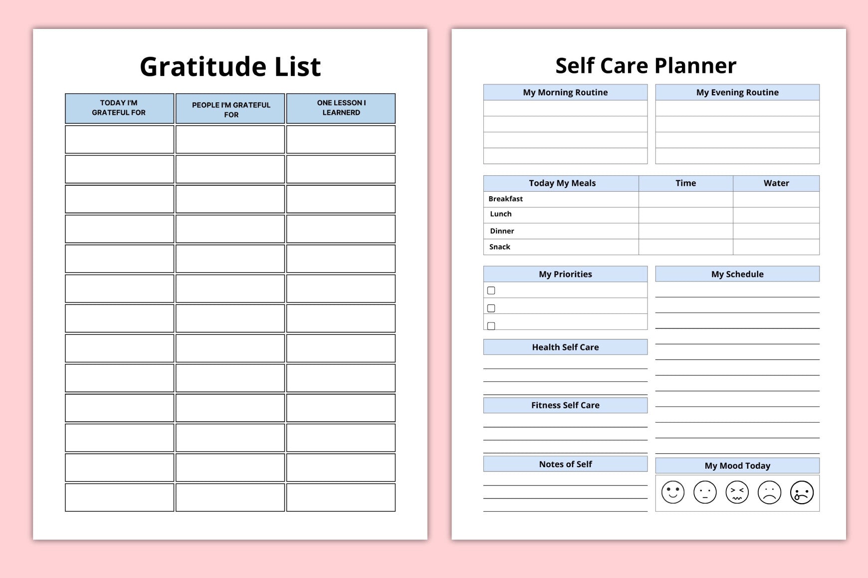 Aesthetic Planner