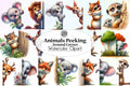 Animals Peeking Clipart Bundle