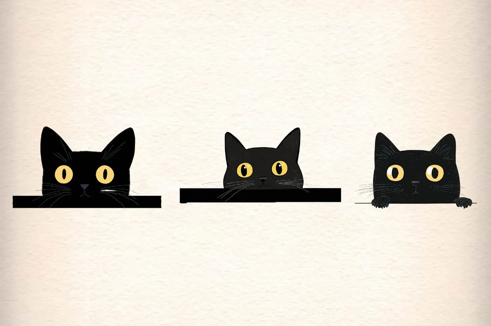 Black Cat Peeking Graphics Clipart Bundle