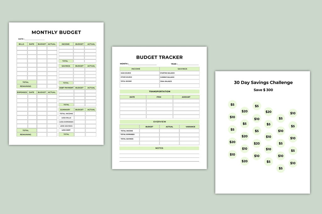 Money Track Expense Savings Planner
