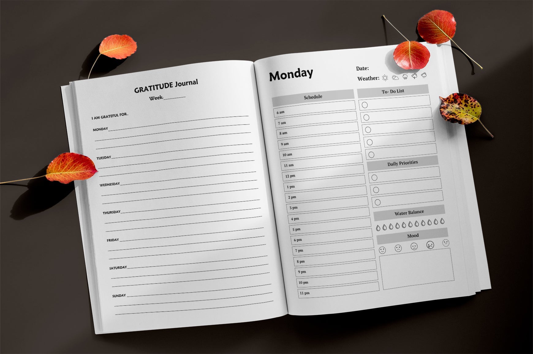 Healthy Living Planner