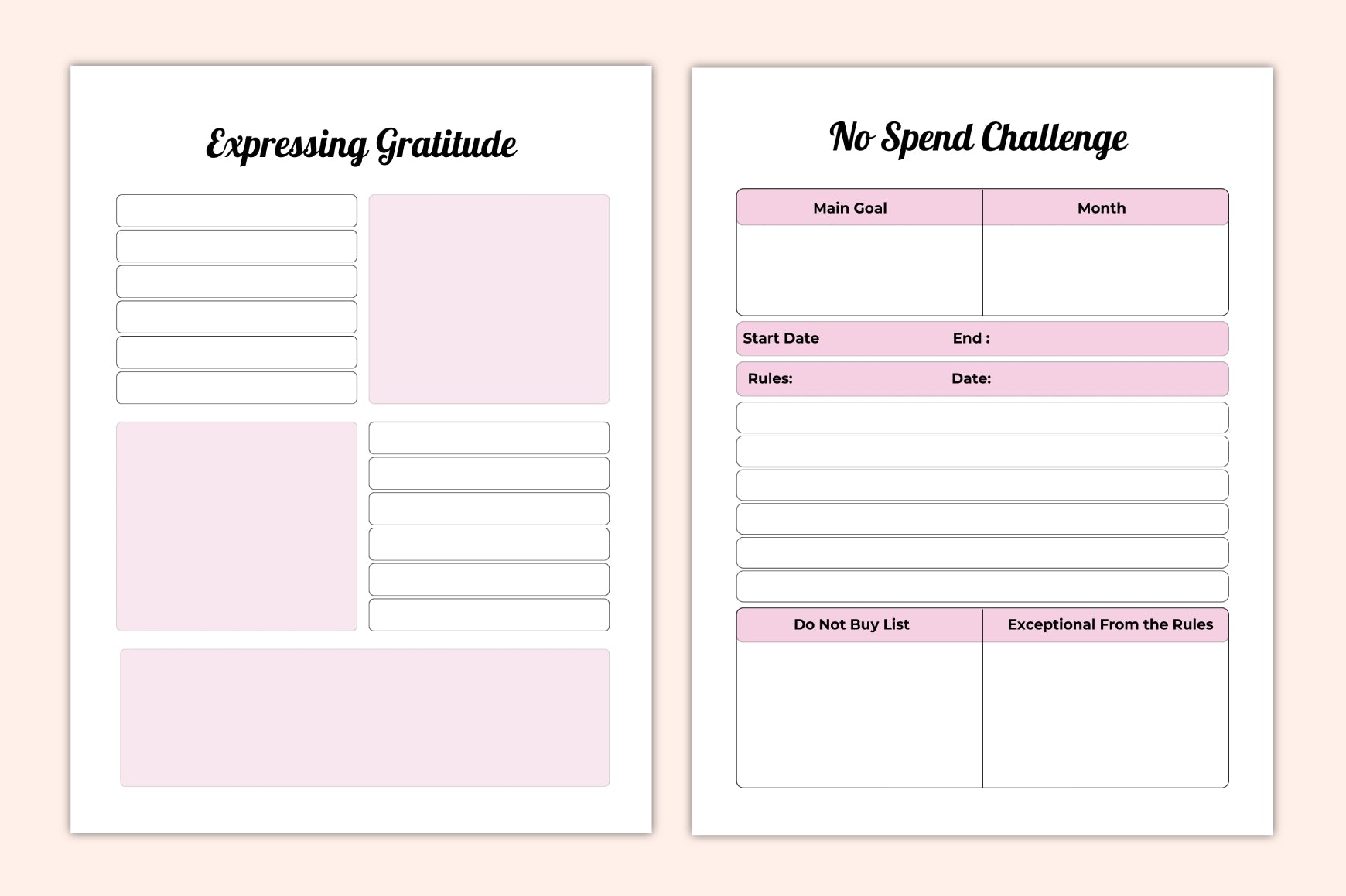 Life Coaching Action Planner