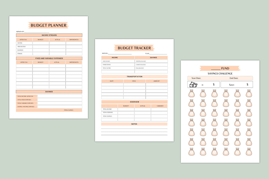Money Master Planner