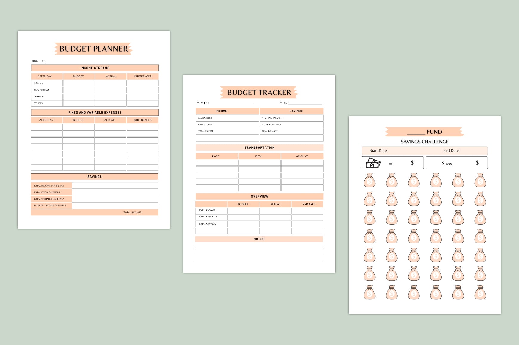 Money Master Planner
