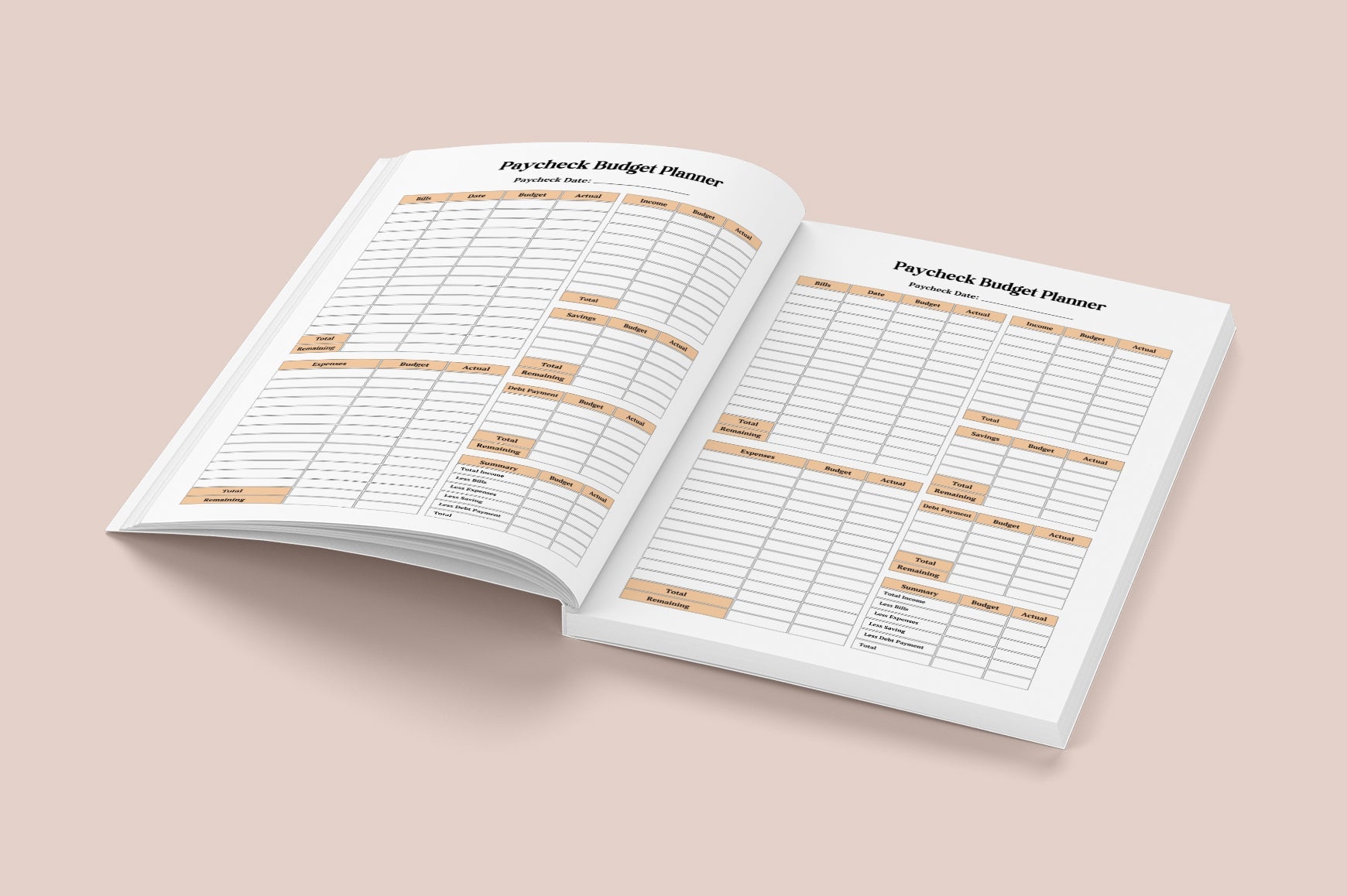 Paycheck Budget Savings Planner