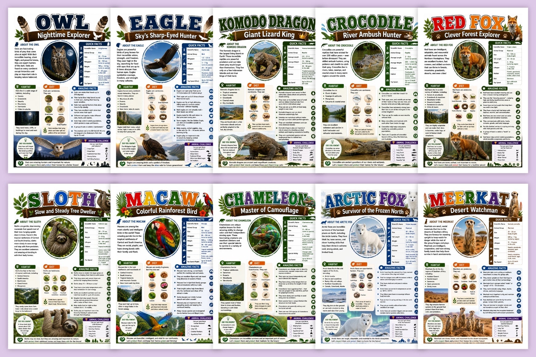 Animal Discovery Adventures