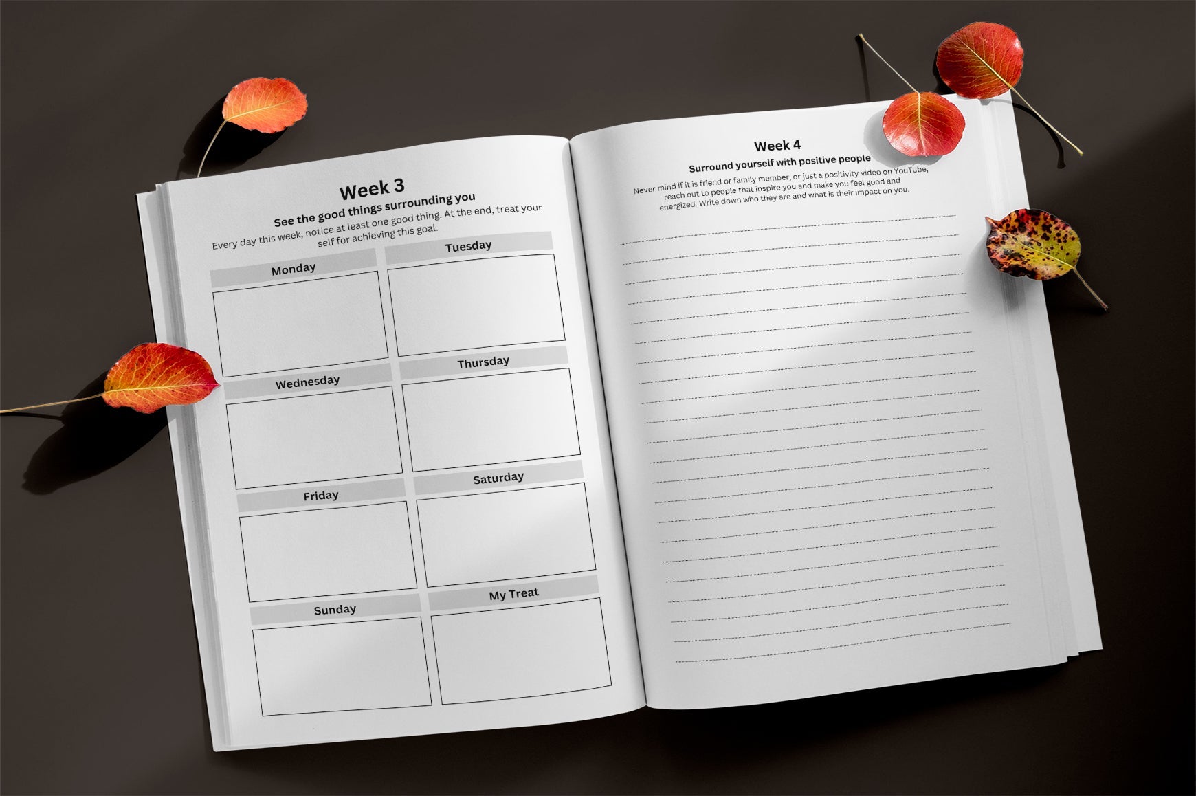 Growth Mindset Journal for Women