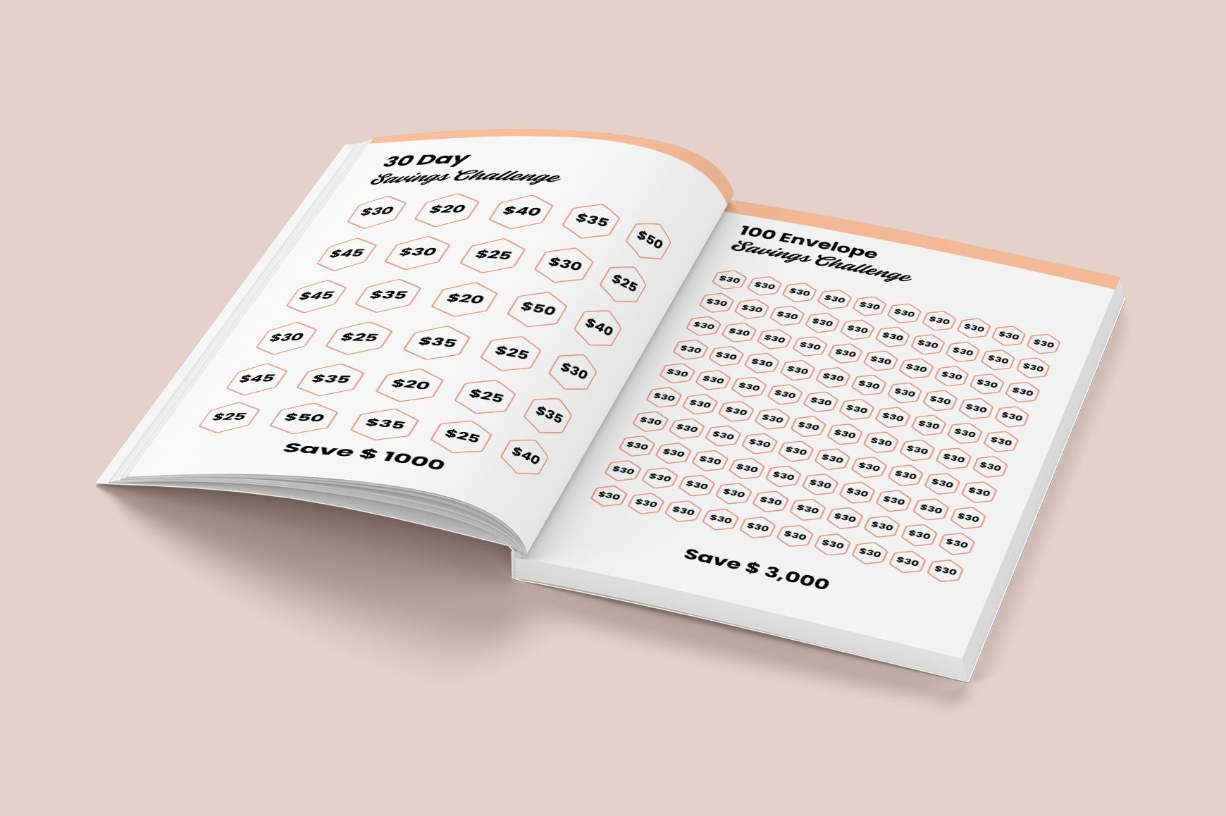 Money Saving Goals Challenge Planner