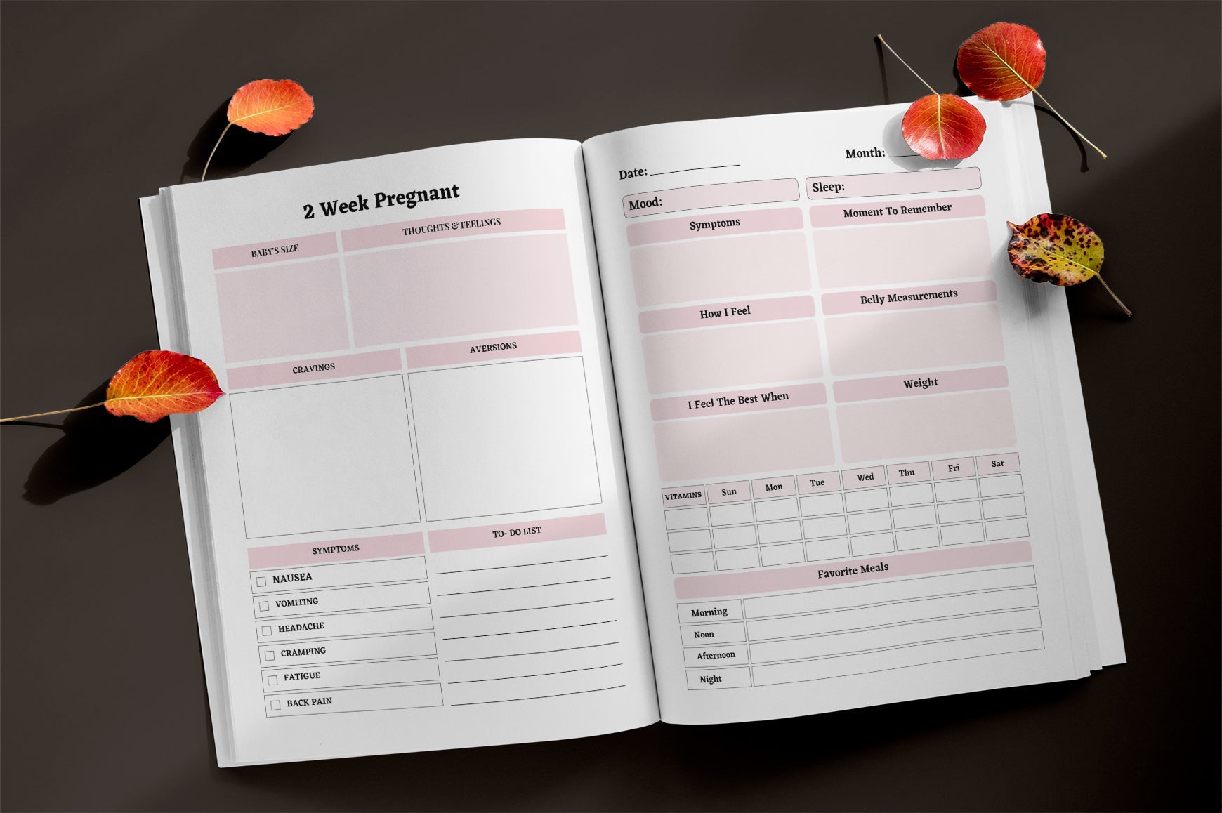 My Weekly Pregnancy Journal