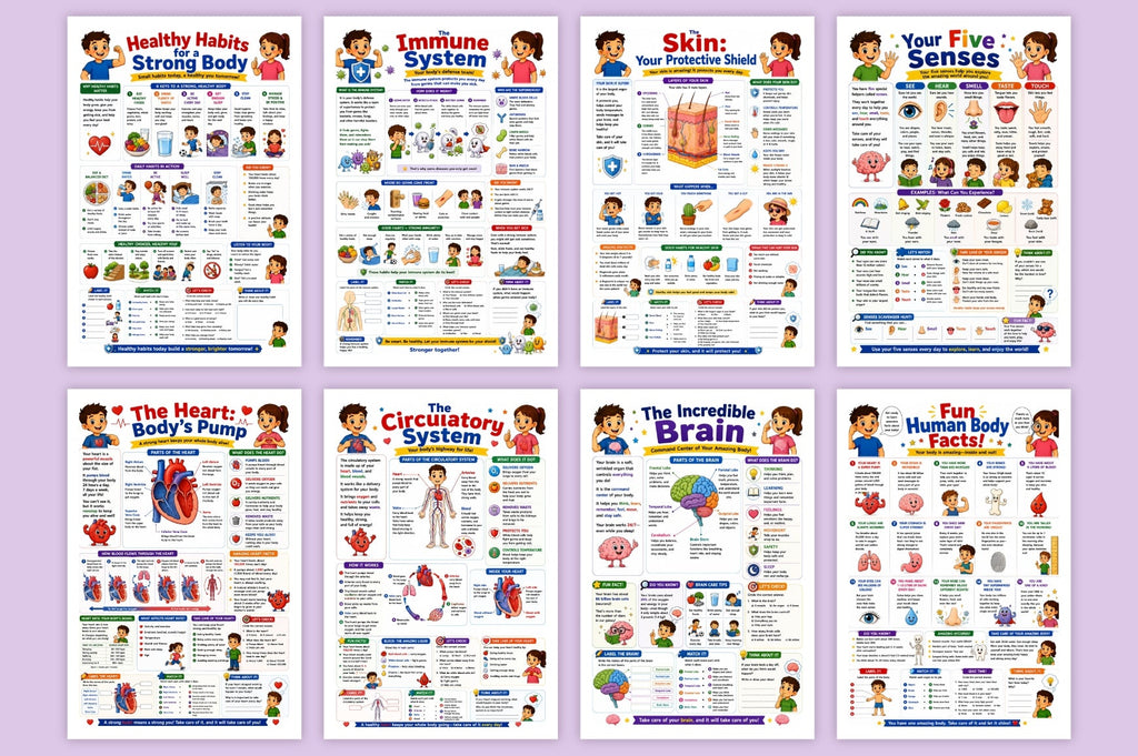 Human Body Adventure For Kids