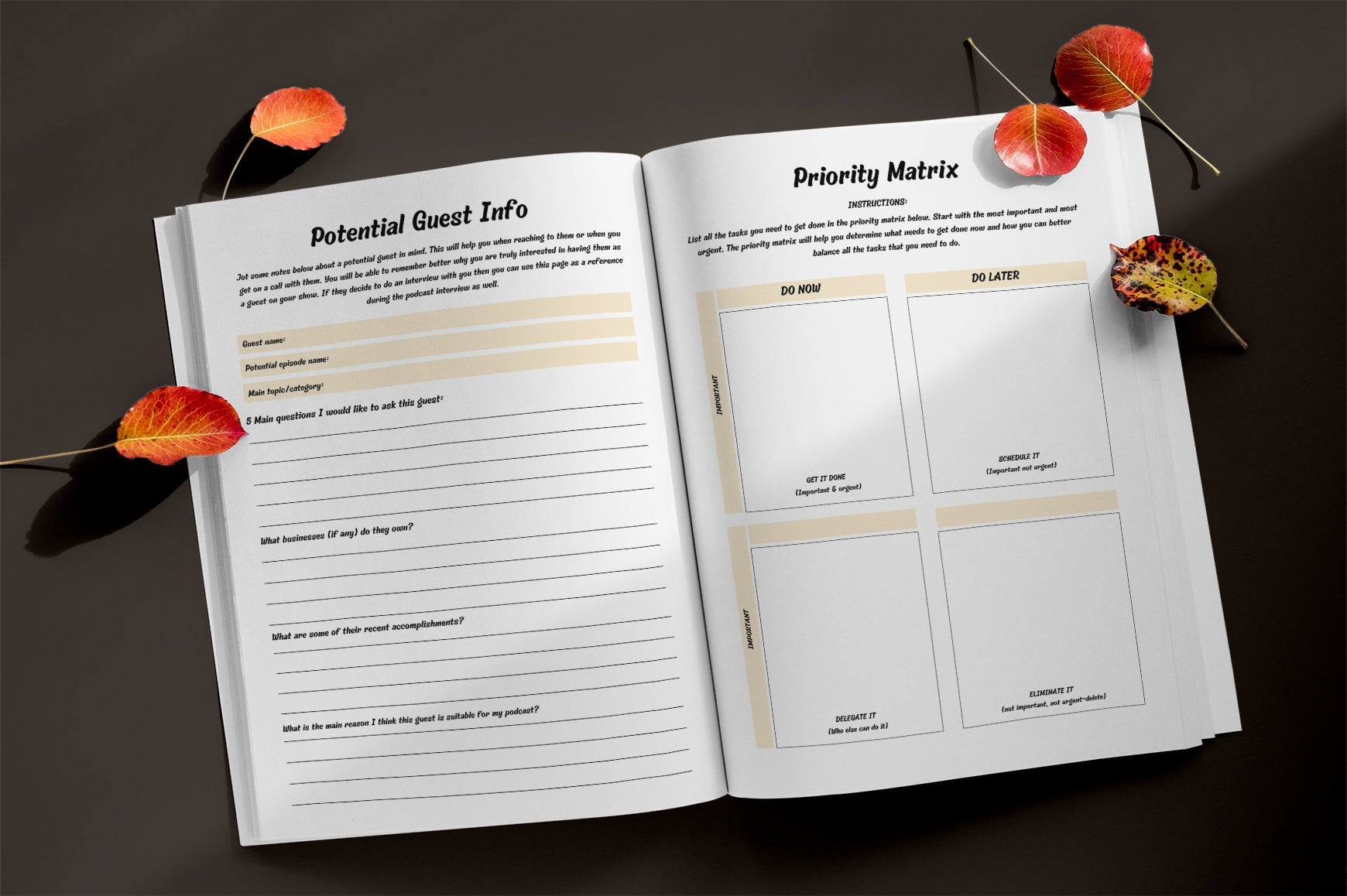 Podcast Planner Guide