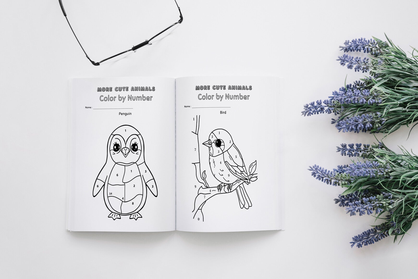 Color By Number Worksheets For Kids Book
