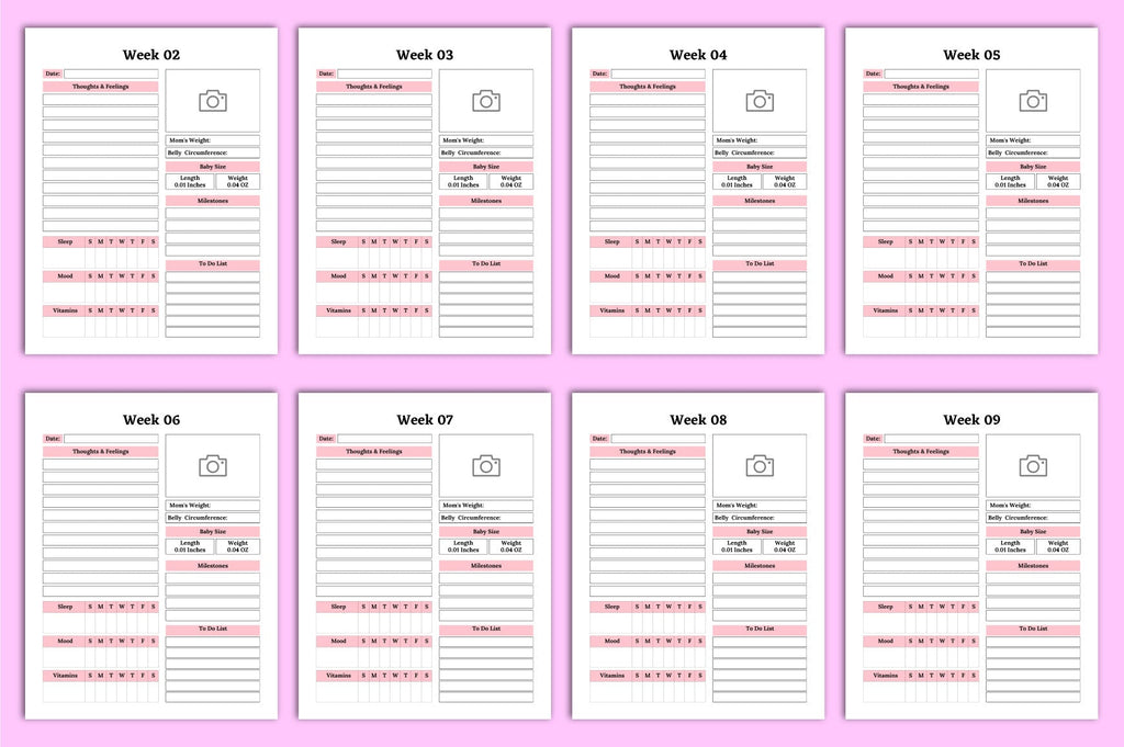 My Pregnancy Journal