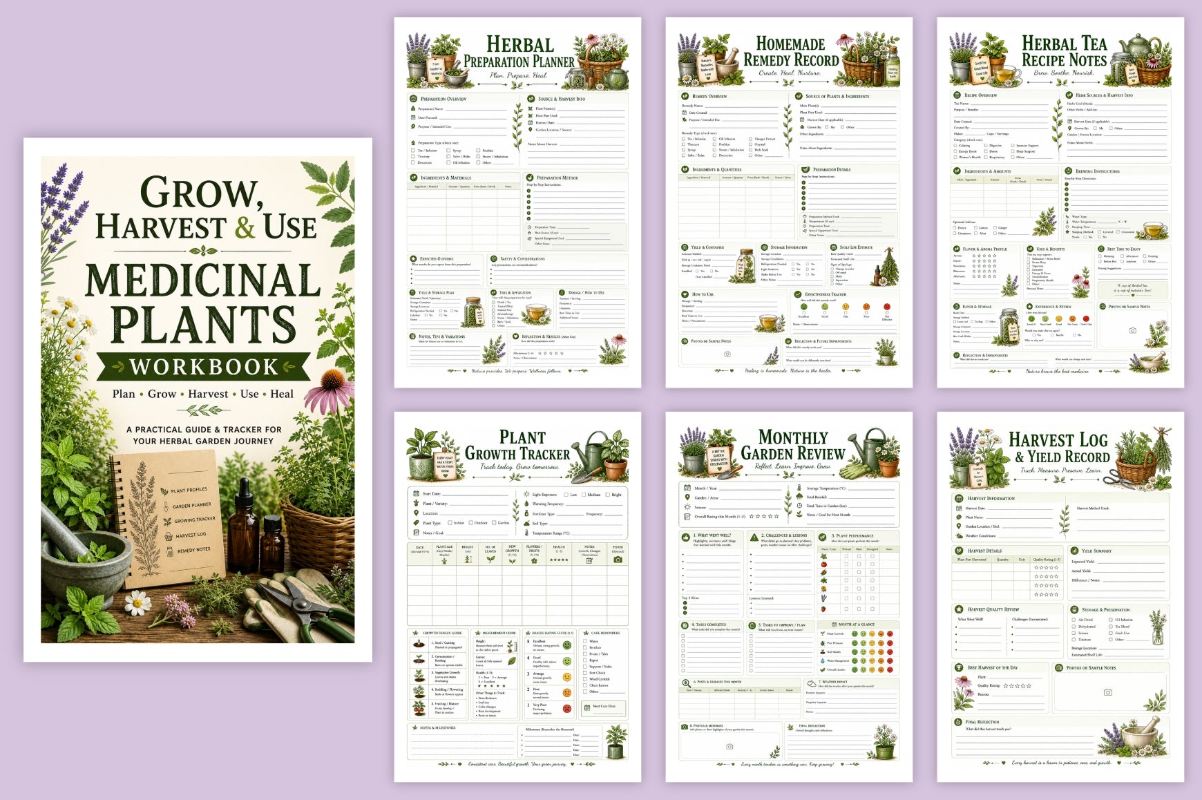 Grow Harvest Medicinal Plants Workbook