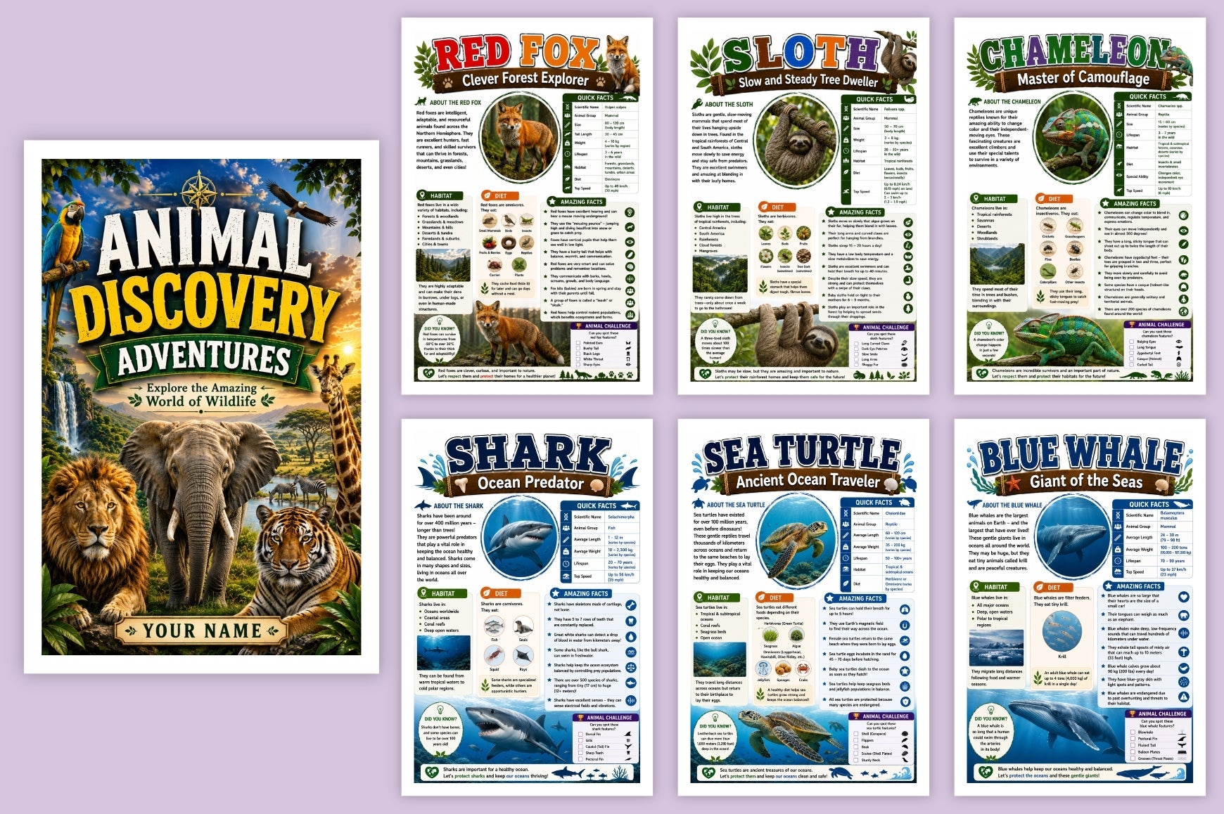 Animal Discovery Adventures