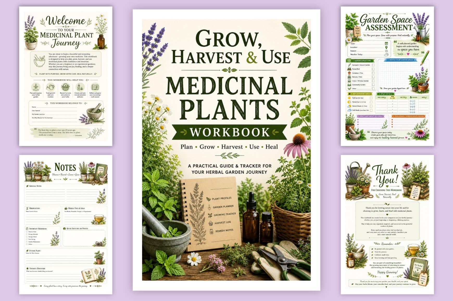 Grow Harvest Medicinal Plants Workbook