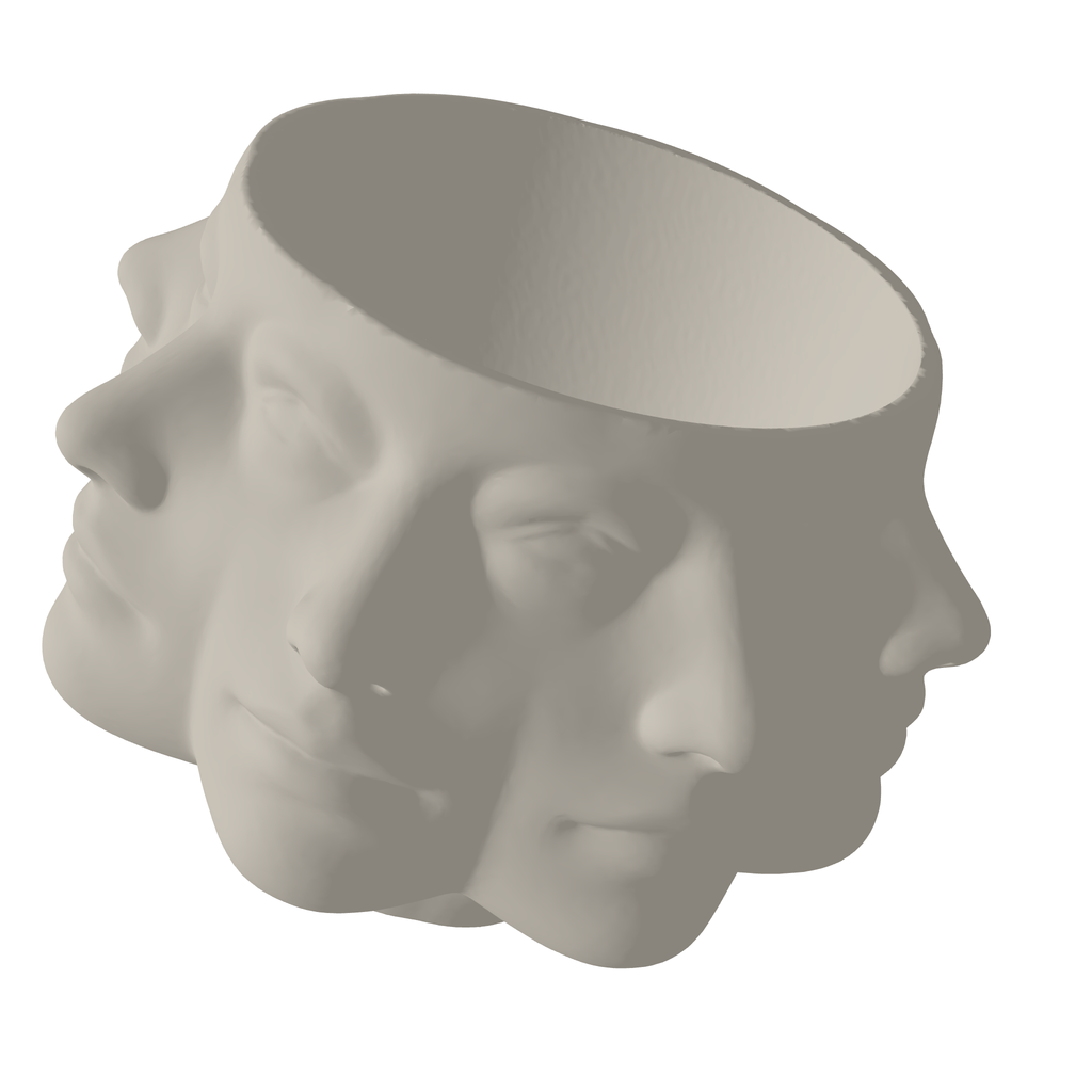 Pretty Pot Faces Planter 3D Print STL File