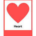 Basic Shape Flashcards