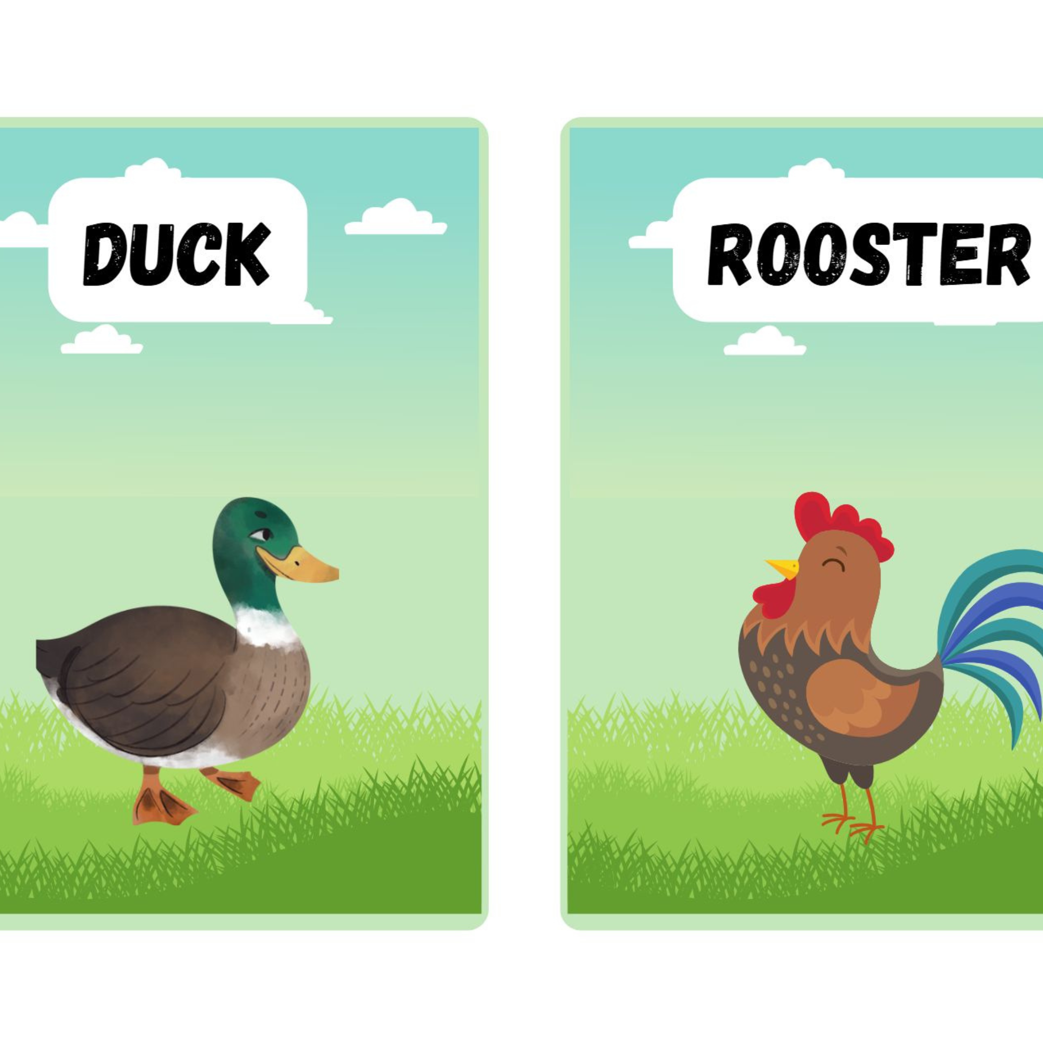 Farm Animals Flashcards for Kids