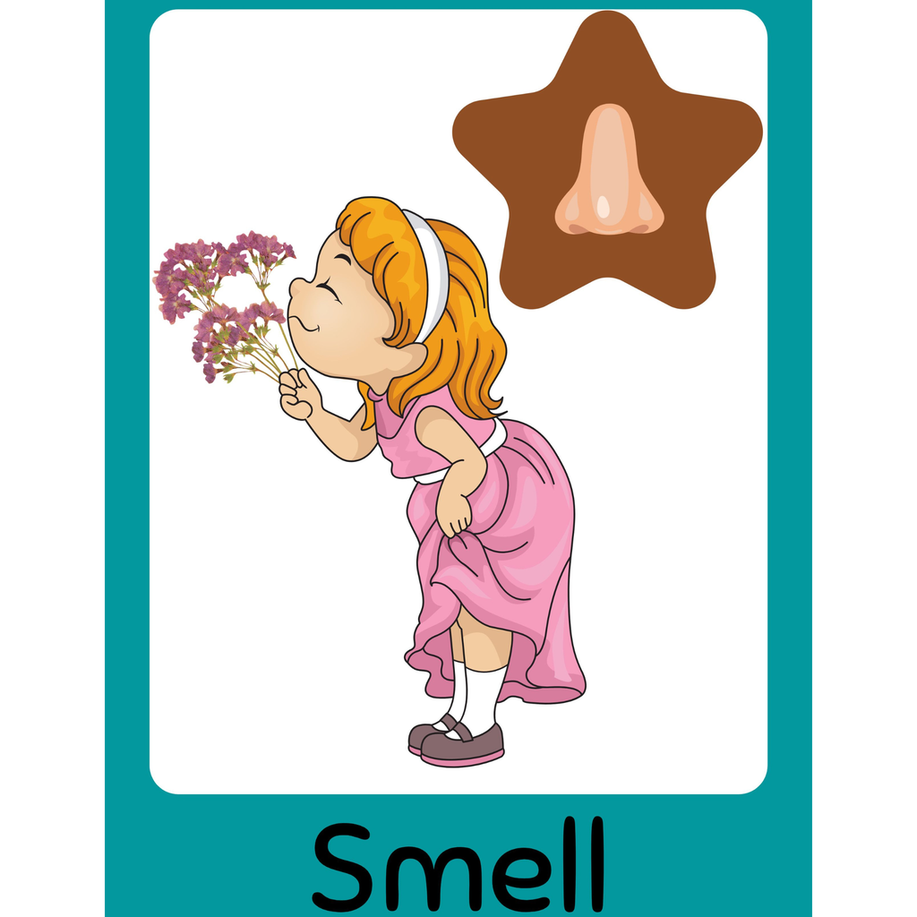 Five Senses Flashcards for Kids