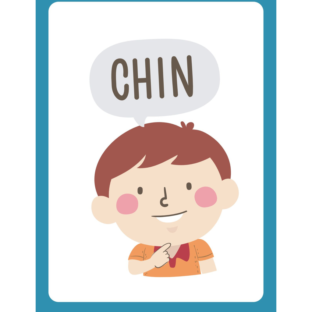 Human Body Flashcards for Kids