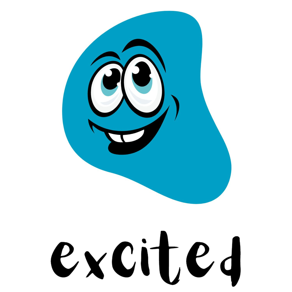I Feel Emotion Flashcards for Kids