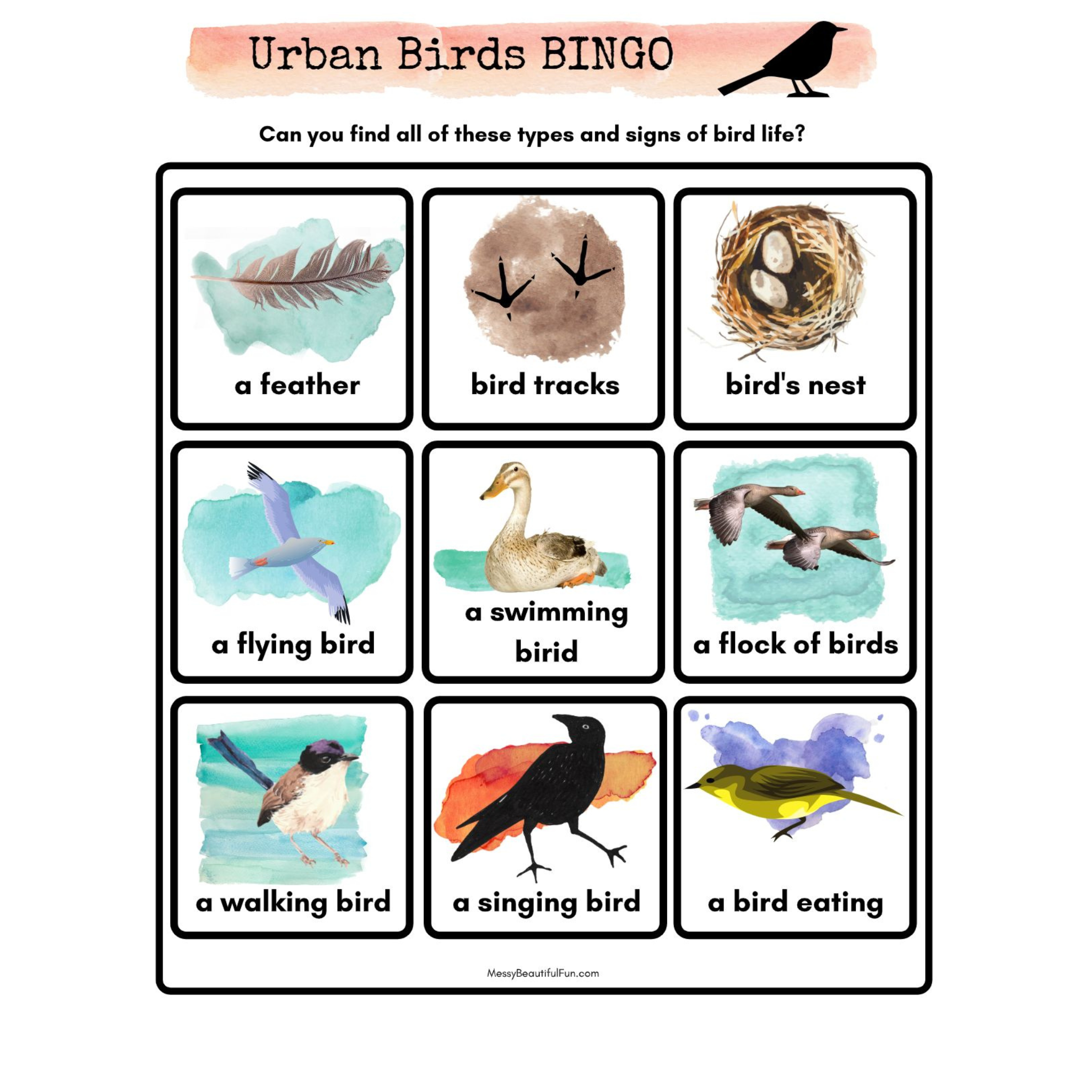 Urban Birds Unit Study for City Kids