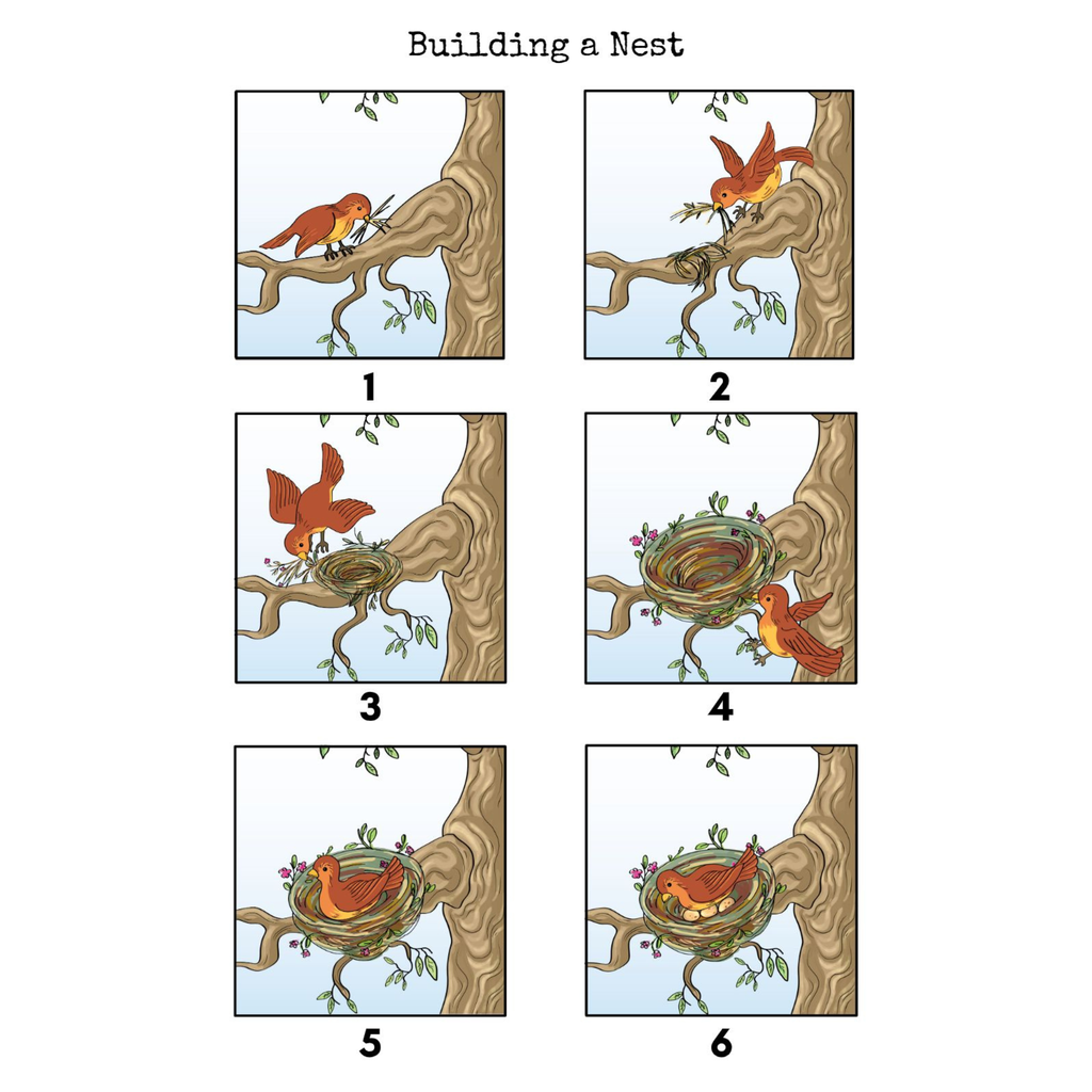 Urban Birds Unit Study for City Kids
